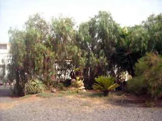 Country house Hotel Rural Era De La Corte - Adults Only Antigua  Spain